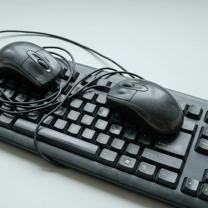 Keyboards & mice